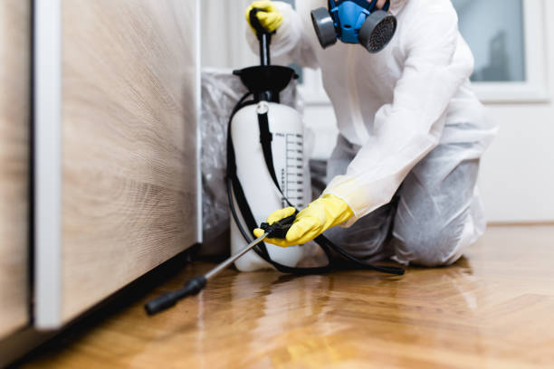 Best Affordable Pest Control Services  in Rock Hill, SC