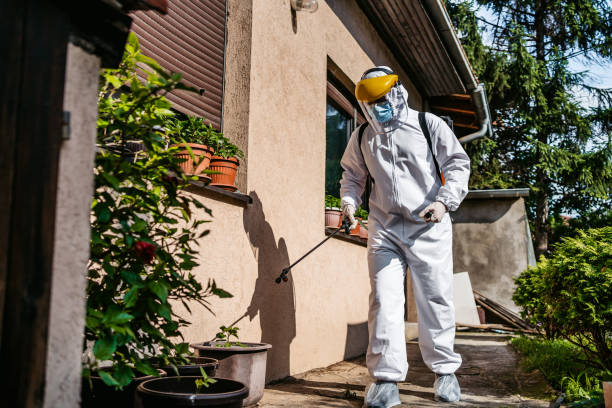 Best Pest Control Treatment  in Rock Hill, SC