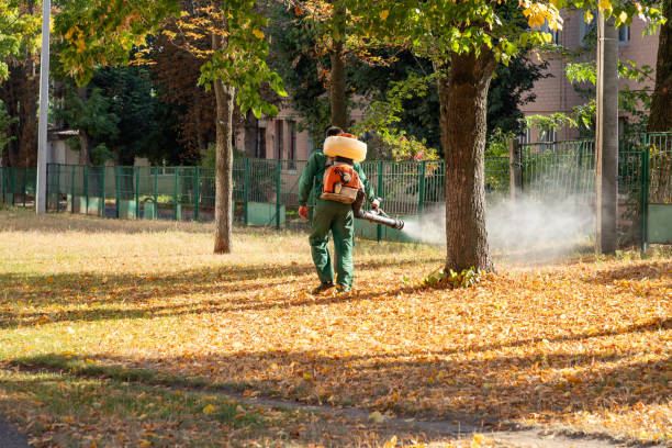 Best Flea Control Services  in Rock Hill, SC