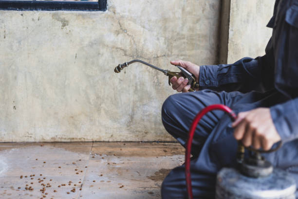Best Pest Control Near Me  in Rock Hill, SC